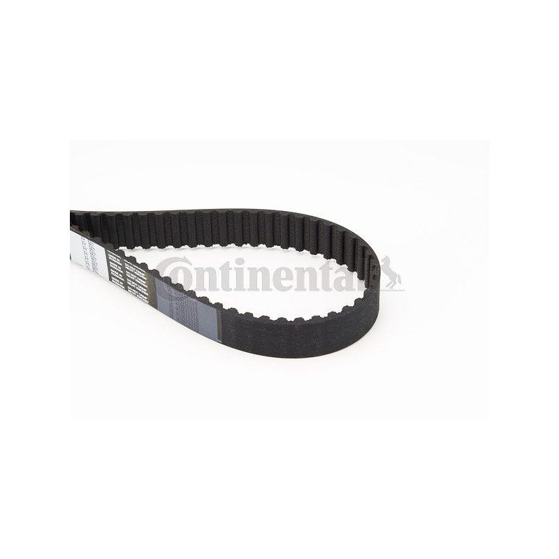 Cinghia/catena distribuzione - CONTITECH