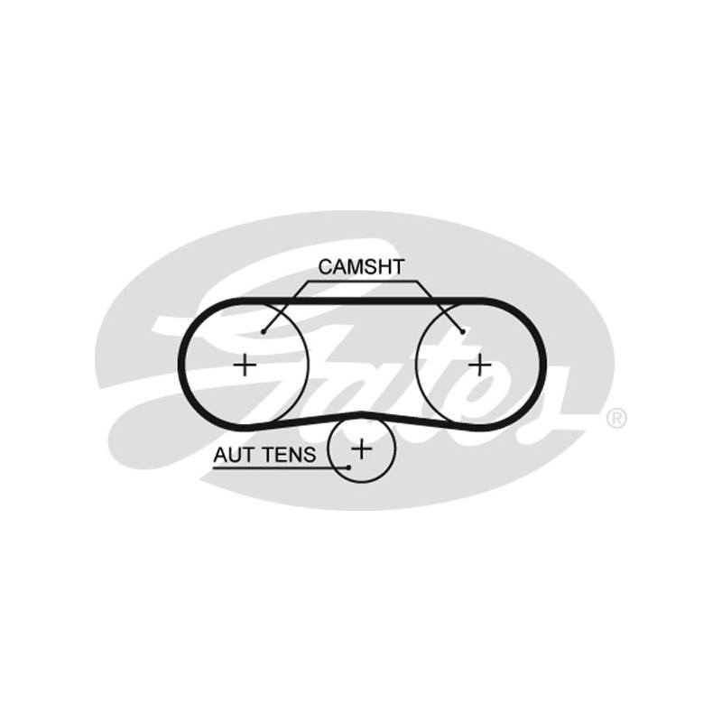 Cinghia/catena distribuzione - GATES