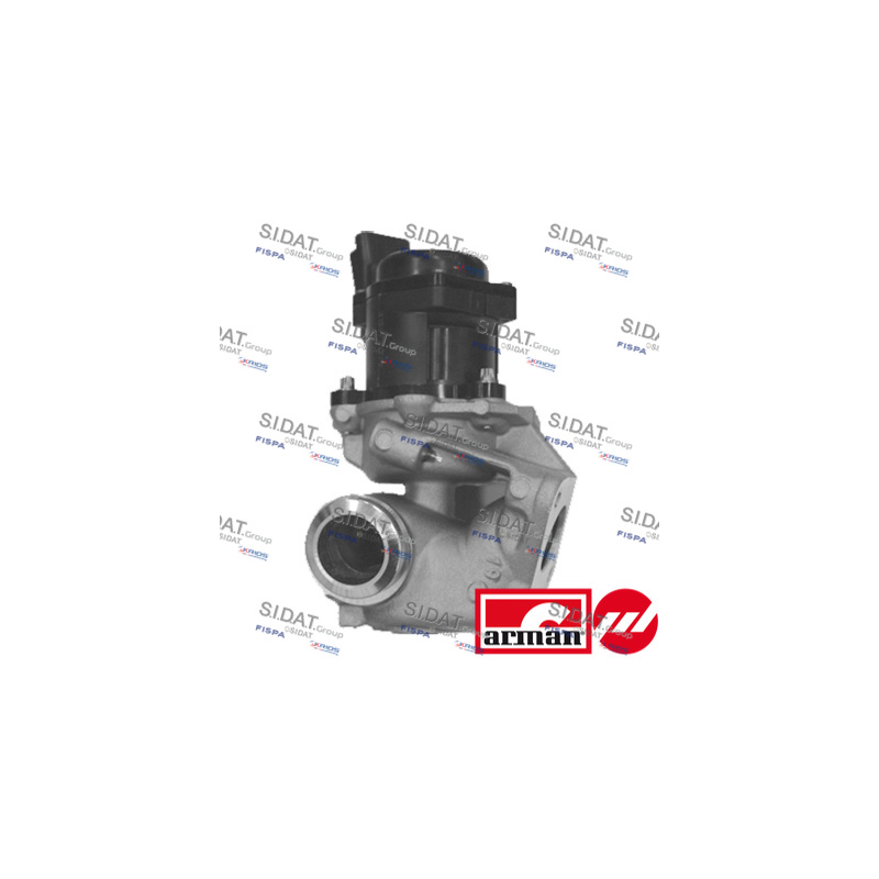 Valvola EGR - SIDAT