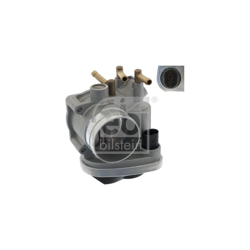 Corpo farfallato - FEBI