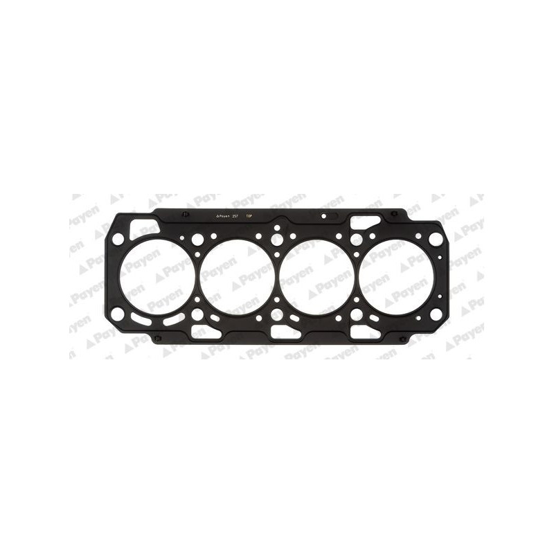 Guarnizione testata - PAYEN