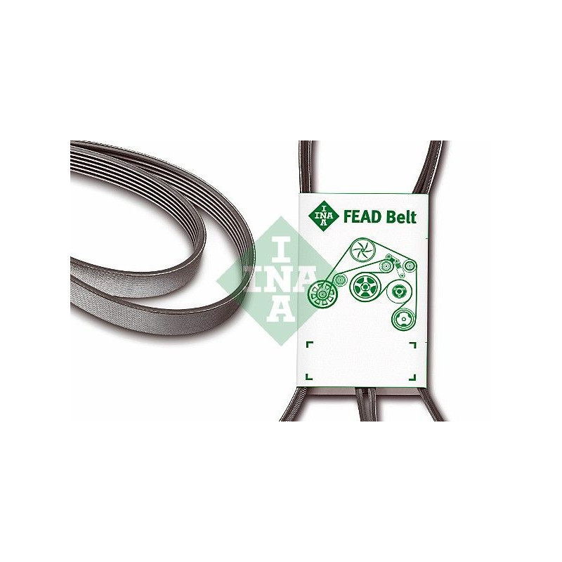 Cinghia trapezoidale - INA