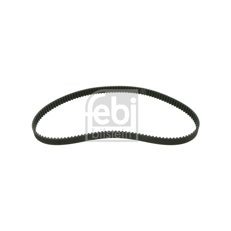 Cinghia/catena distribuzione - FEBI