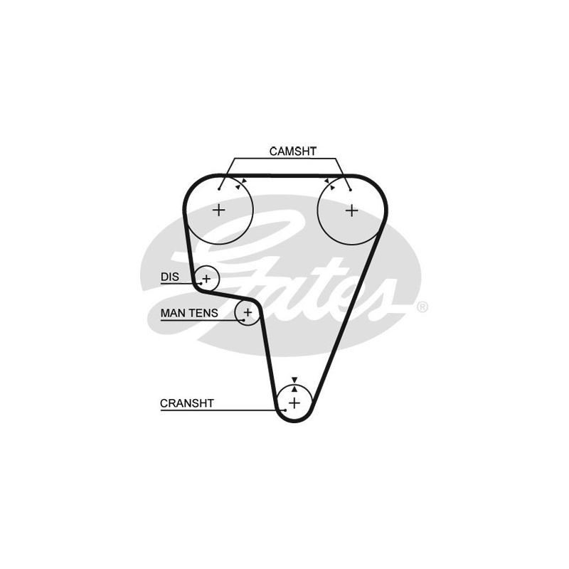 Cinghia/catena distribuzione - GATES