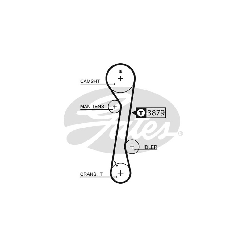 Cinghia/catena distribuzione - GATES