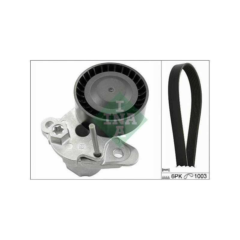 Cinghia trapezoidale - INA