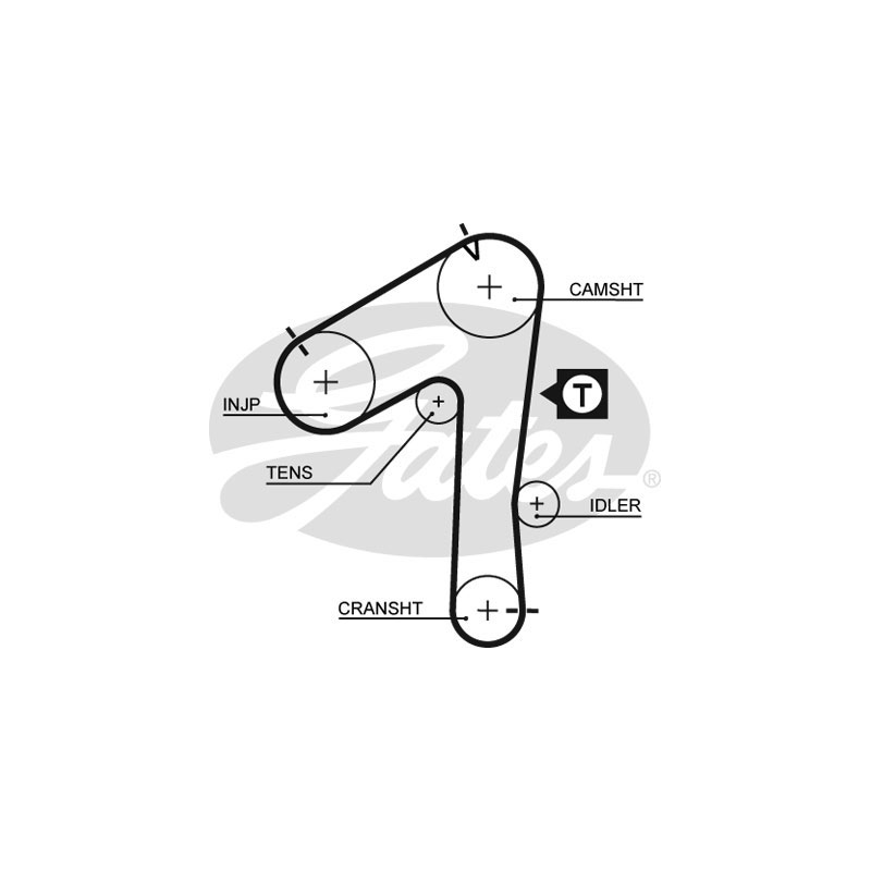 Cinghia/catena distribuzione - GATES