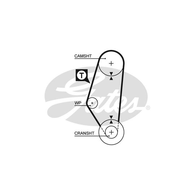 Cinghia/catena distribuzione - GATES