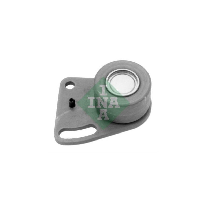 Tendicinghia distribuzione - INA