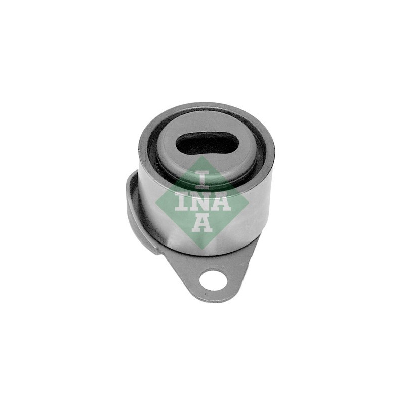 Tendicinghia distribuzione - INA