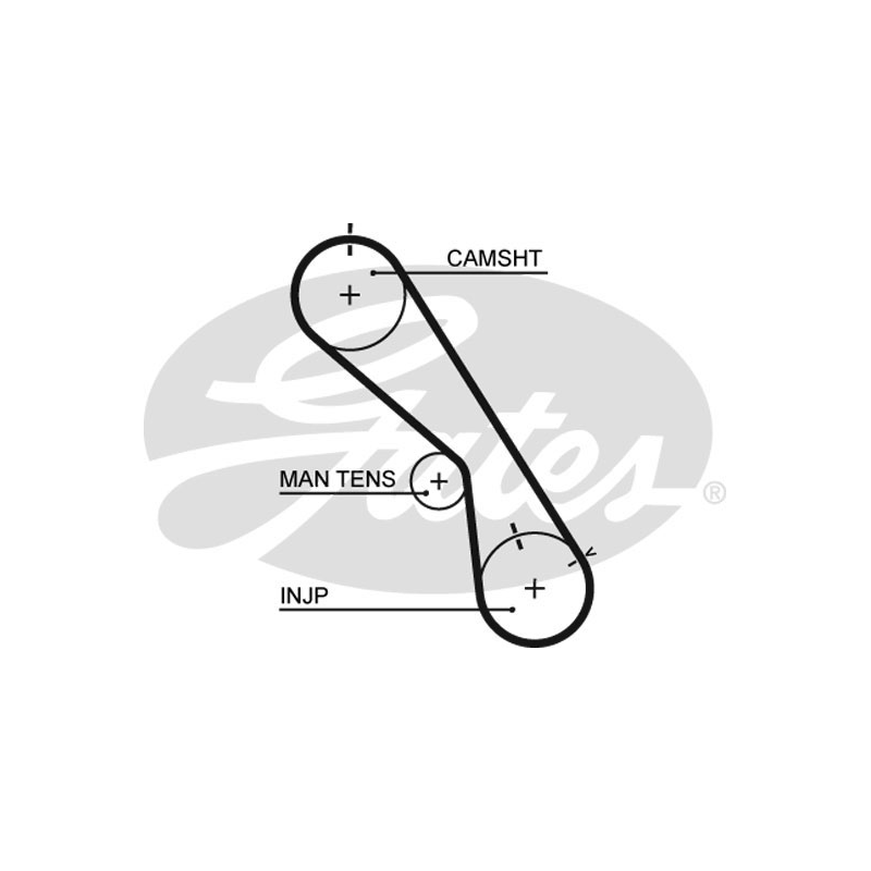Cinghia/catena distribuzione - GATES