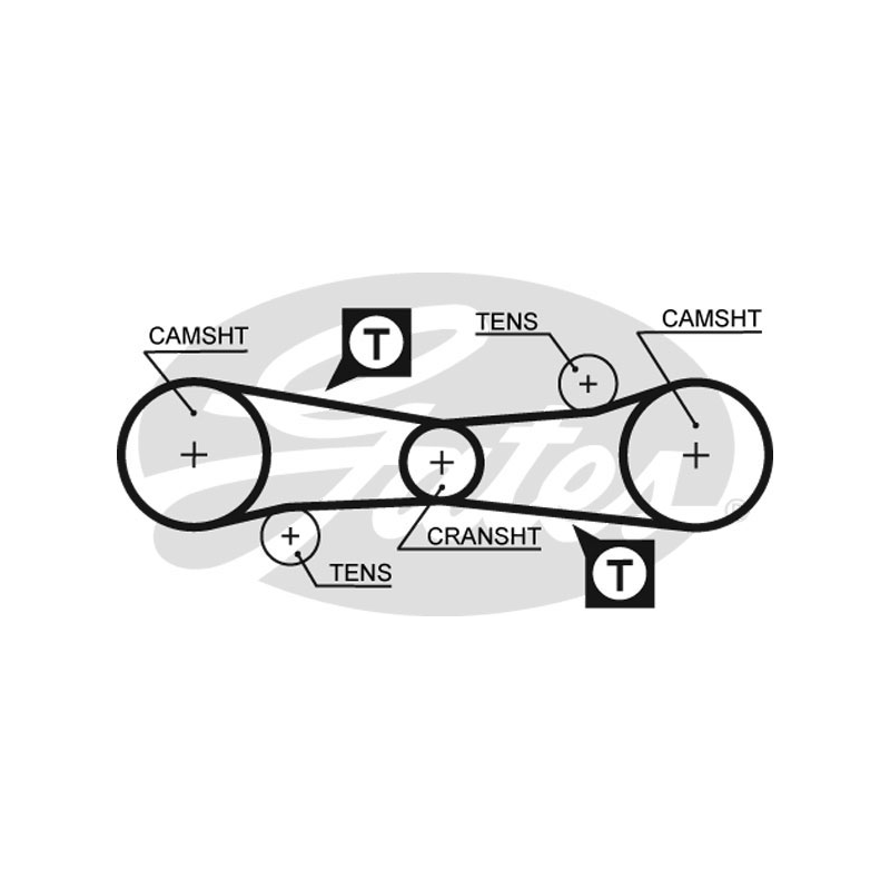 Cinghia/catena distribuzione - GATES