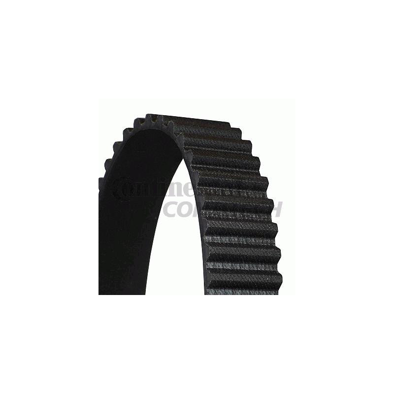 Cinghia/catena distribuzione - CONTITECH