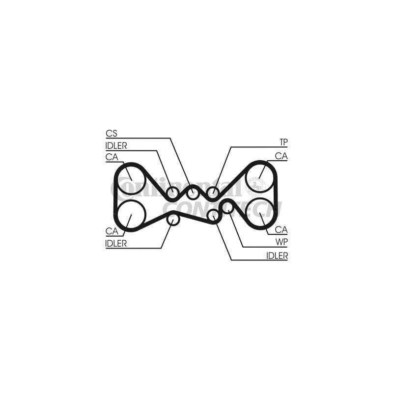 Cinghia/catena distribuzione - CONTITECH