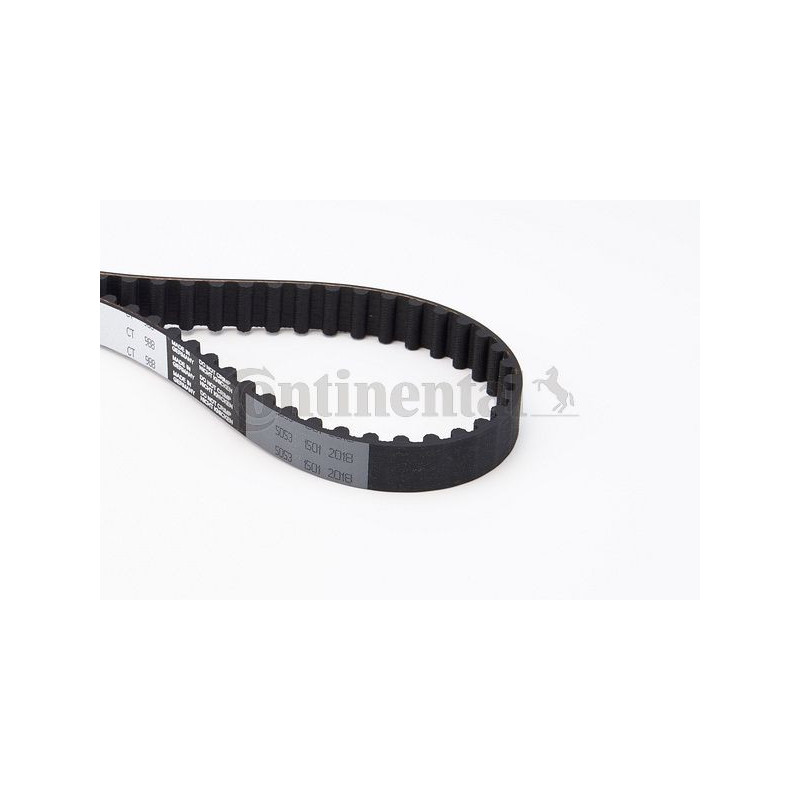 Cinghia/catena distribuzione - CONTITECH