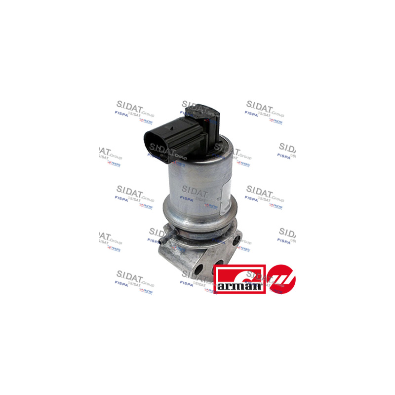 Valvola EGR - SIDAT