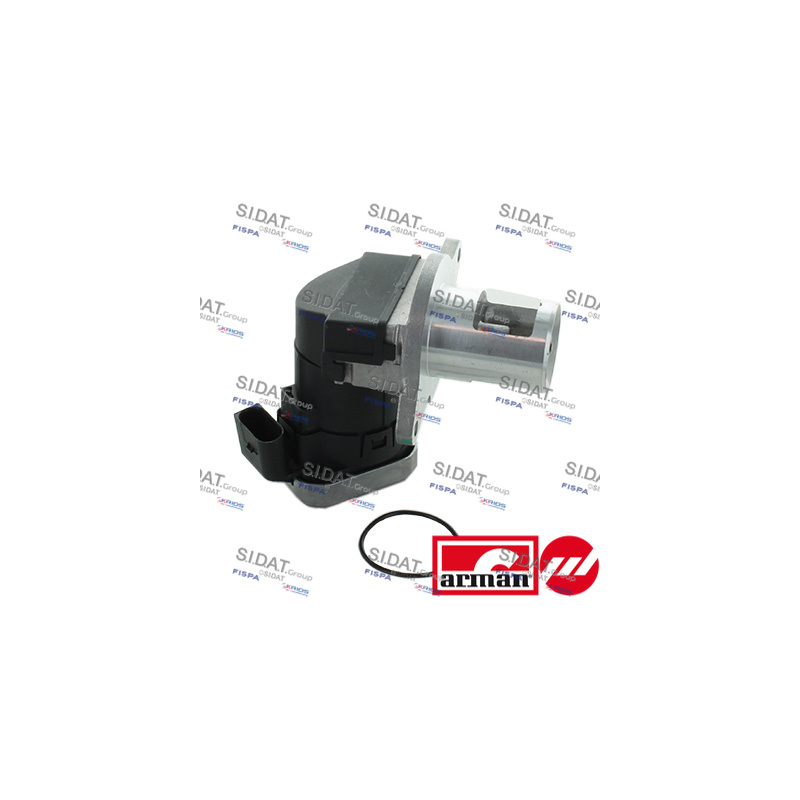 Valvola EGR - SIDAT