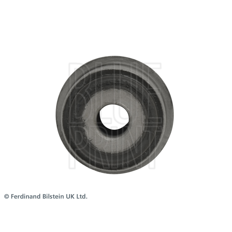 Supporto braccio oscillante - BLUE PRINT