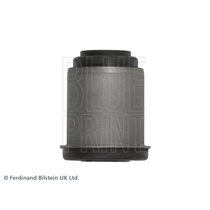 Supporto braccio oscillante - BLUE PRINT